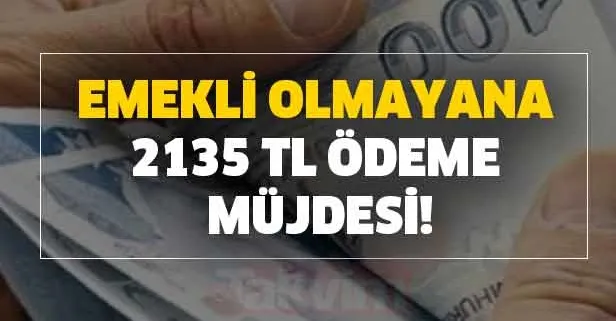 Her ay yapılıyor! Emekli olmasanız da bu parayı alabiliyorsunuz