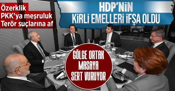 HDP’nin Millet İttifakı’ndan talepleri ifşa oldu: Özerklik ve Sevr’in kısmi uygulanması…