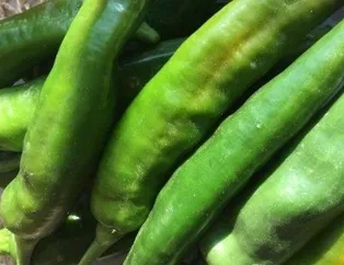 Samandağ biberi eritir göbeği!