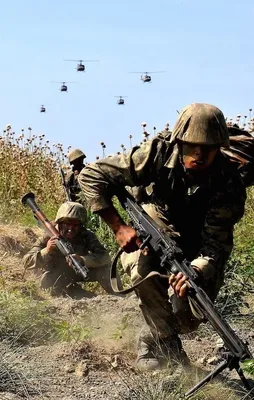 201 PKK'lı kalleş öldürüldü