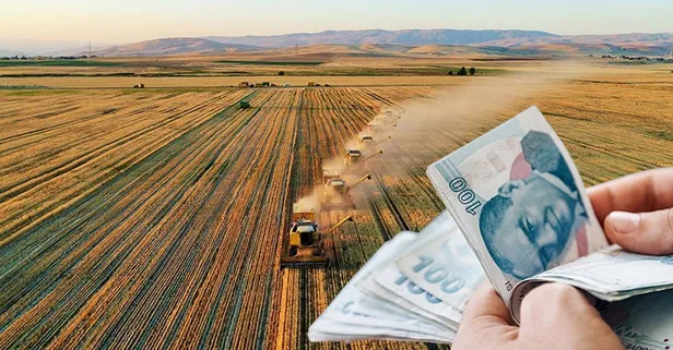 Samsun'da 36 bin üreticiye 86 milyon 155 bin lira alan bazlı destek ödemesi bugün başladı