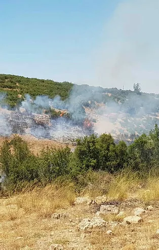 Denizli'de orman yangını! Havadan ve karadan müdahale