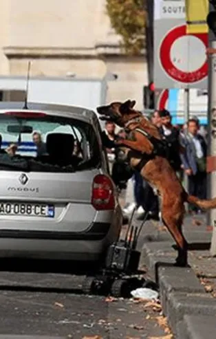 Fransa'nın başkenti Paris'te kırmızı alarm
