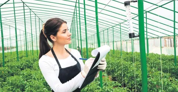 1.2 milyarlık hibe için başvuru zamanı