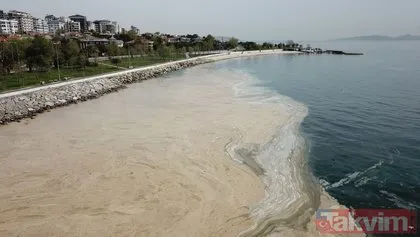 İstanbul Fenerbahçe Sahili deniz salyası kaplandı