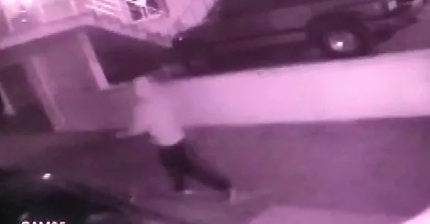 Dişimden, tırnağımdan arttırıp biriktirerek aldım