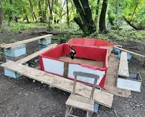 Muğla’da horoz dövüşü skandalı: Hayvanları Koruma Derneği Başkanı da operasyonda yakalandı