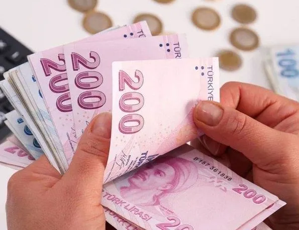 Mikro işletmelere koruma