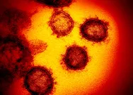 Son dakika: Koronavirüs salgınında can kaybı 2 bin 347’ye çıktı