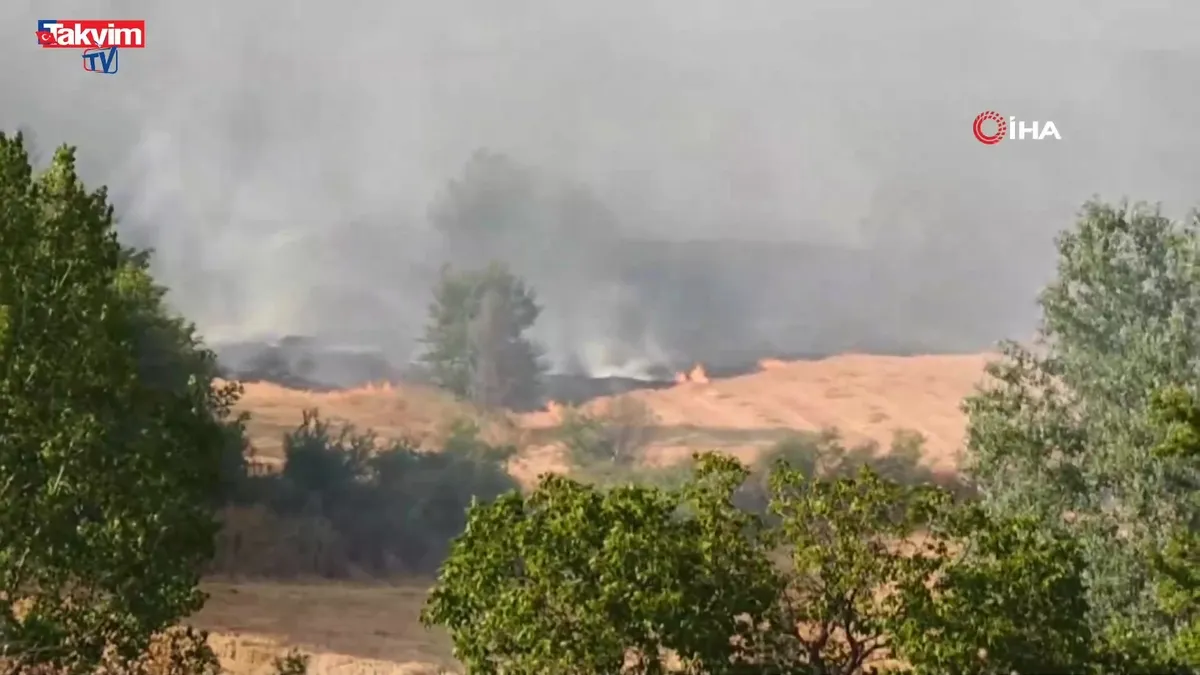 Malkara’da anız yangını ormana sıçradı