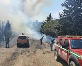 İzmir’de orman yangını