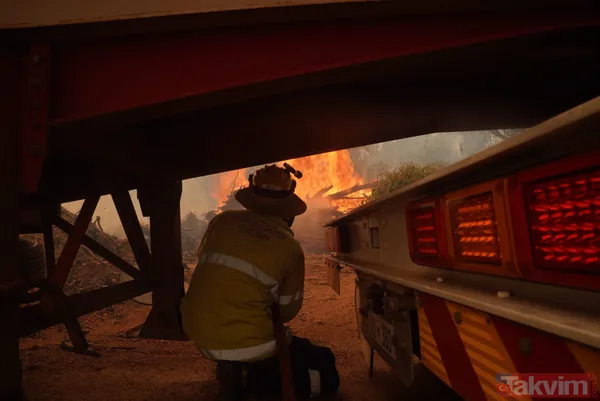 SON DAKİKA: Avustralya'da yangın faciası! 71 ev kül oldu - 5