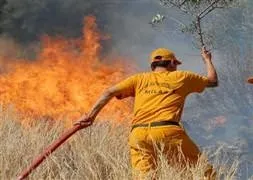 Milas duman altında