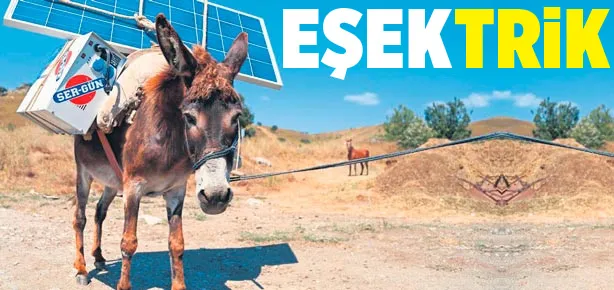 Eşektrik