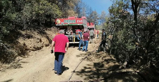 Karabük’te orman yangını