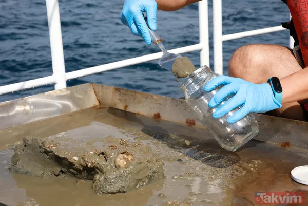 TÜBİTAK gemisi Marmara'ya açıldı! Bilim insanları raporları: Sonuçlar korkutucu - 15