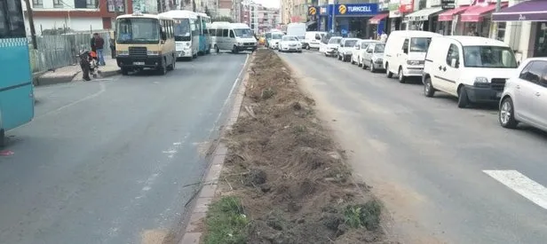 Yine CHP’li belediye yine ağaç katliamı