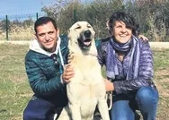 FOX TVden ayrılan Fatih Portakaldan kaçak çiftlikte tarım!