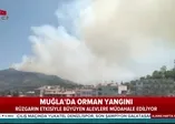 Son dakika: Muğla Milas'ta orman yangını