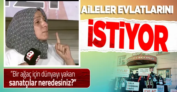 Diyarbakır Annesi Ayşegül Biçer’in feryadı: Bir ağaç için dünyayı yakan sanatçılar neredesiniz?