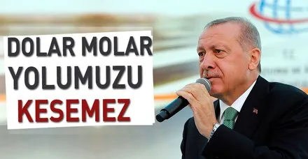 Dolar molar yolumuzu kesemez