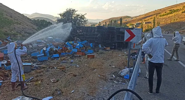 malatyada-ari-kovani-ve-bal-yuklu-kamyon-devrildi-3-kisi-oldu-112-ekipleri-arilar-nedeniyle-kaza-bolgesine-yaklasamadi-1599416543301.jpg Malatya'da arı kovanı ve bal yüklü kamyon devrildi: 3 kişi öldü, 112 ekipleri arılar nedeniyle kaza bölgesine yaklaşamadı-3