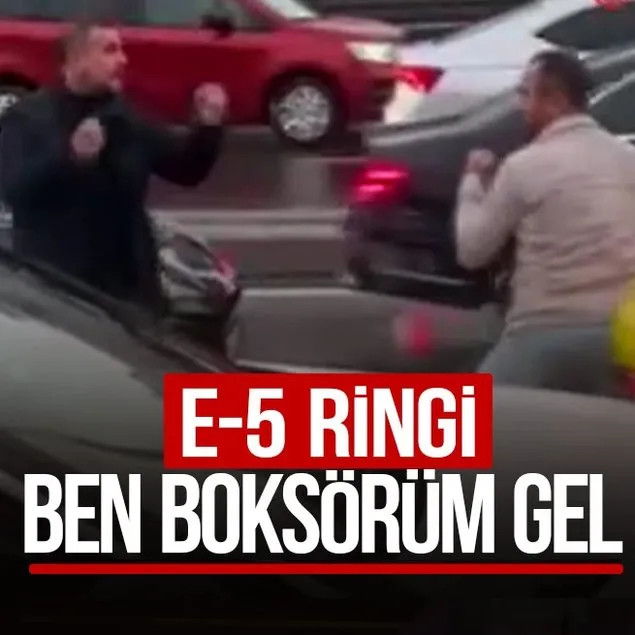 Ben boksörüm gel