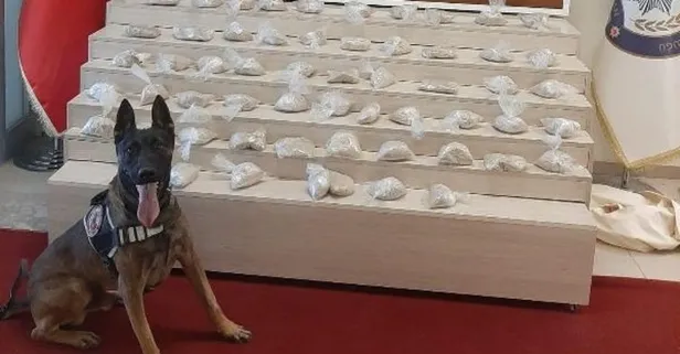 Son dakika: Van'da uyuşturucu operasyonu!