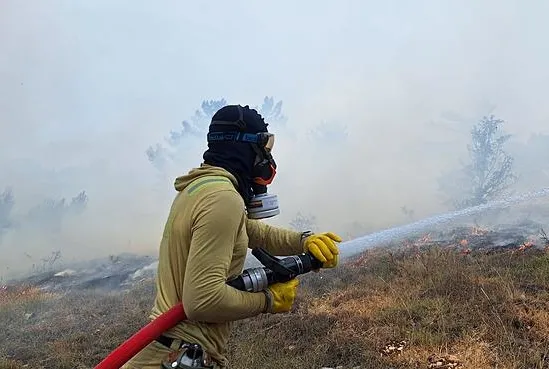 Bolu’da orman yangını