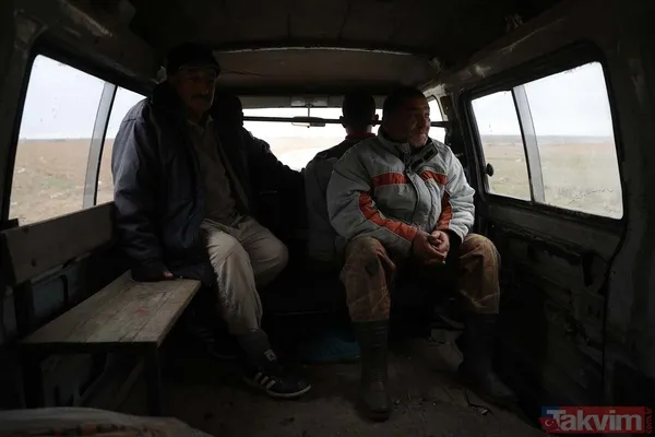 Günlük 900 lira kazanıyorlar! Türkiye'nin birçok ilinden toplanan kurbağalar Avrupa'ya ihraç ediliyor - 44