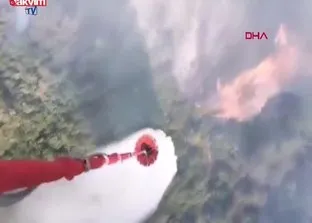 Balıkesir’de orman yangını
