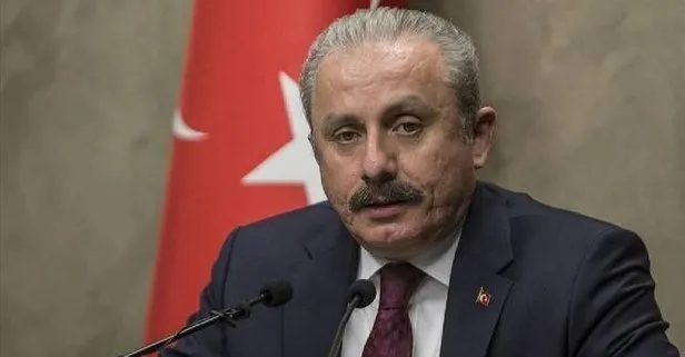 Meclis Başkanı Şentop’tan hakaretçi Kabaş’a kınama