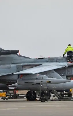 Alman vekil: Yetkilerimiz elden gitti