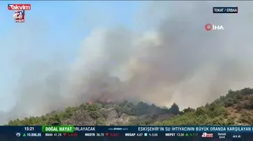 Tokat'ta orman yangını çıktı!