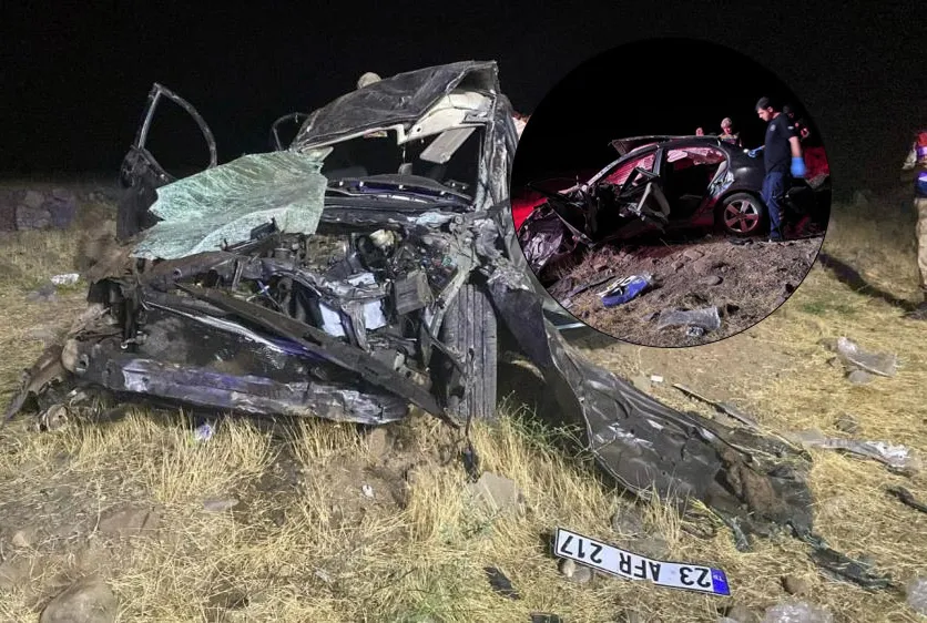 Kontrolden çıkan otomobil şarampole devrildi