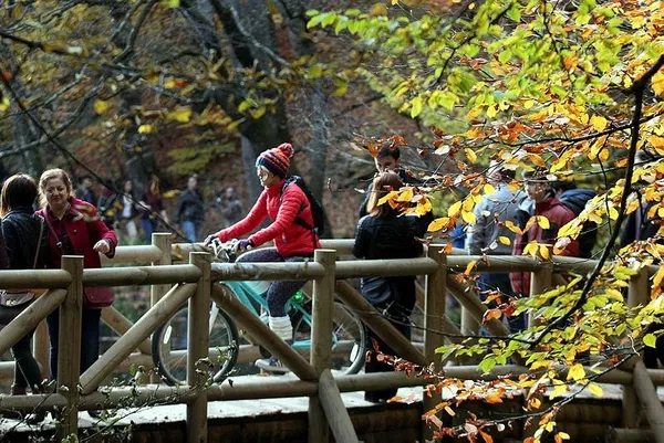 bolu-valiligi-duyurdu-o-tarihe-kadar-ormanlara-girisler-yasaklandi-1689168281228.jpeg Bolu Valiliği duyurdu! O tarihe kadar ormanlara girişler yasaklandı!-5