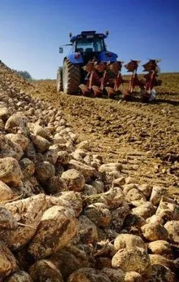 Meclis'te kabul edildi! Nişasta bazlı şeker...