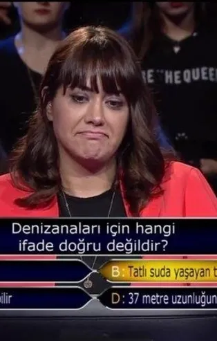 Kim Milyoner Olmak İster 782. bölüm soru ve cevapları