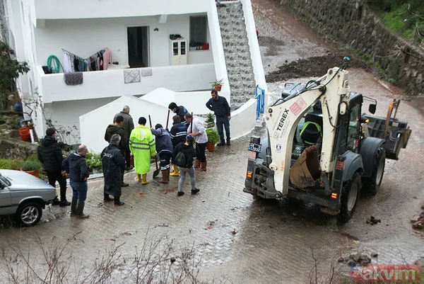 Muğla Bodrum'da hep aynı manzara! Evleri su bastı, sokak hayvanları boğuldu - 19