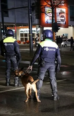 Hollanda skandalında ateş izni verilmiş