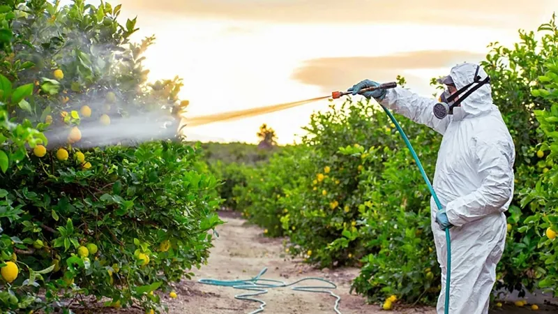 dikkatler-ilaclama-firmalarinin-uzerinde-ucte-biri-kacak-calisiyor-1763792770267.jpeg Dikkatler ilaçlama firmalarının üzerinde! Üçte biri kaçak çalışıyor-6