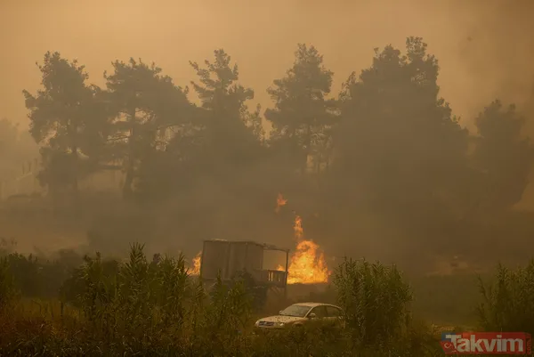 Kan kaybeden PKK, Türkiye'nin ormanlarını yakıyor: Yunanistan'da eğitim gördüler hedeflerinde turistik bölgeler var - 1