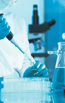 Merkel’e inat yatırım