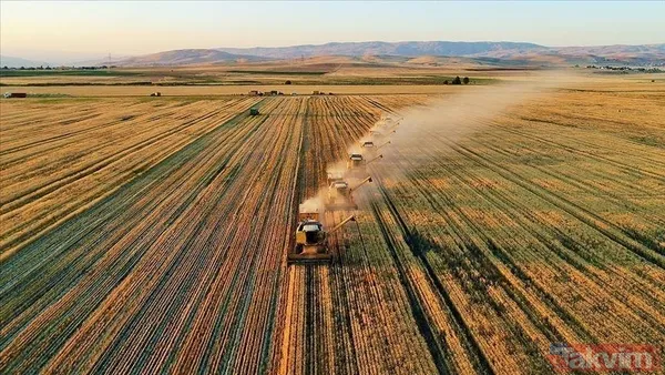 Tarım ve Orman Bakanlığı 200 PERSONEL ALIMI: Sözleşmeli personel alımı başvurusu ne zaman, nasıl, hangi branşlarda yapılacak? - 11