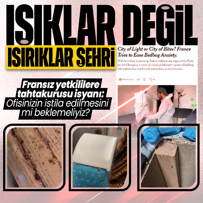 Işıklar şehri değil ısırıklar şehri! Paris’i tahtakurusu sardı: Eğitime böcek arası