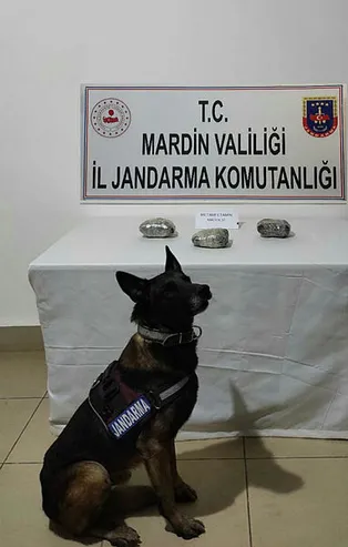 Mardin'de uyuşturucu operasyonu!