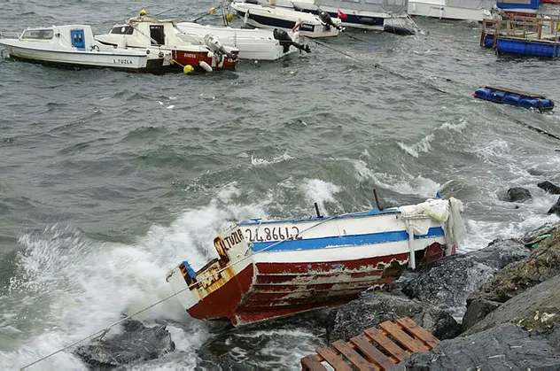 İstanbul'da lodosun acı bilançosu açıklandı: 4 kişi öldü, onlarca çatı uçtu ve 100'den fazla ağaç devrildi...