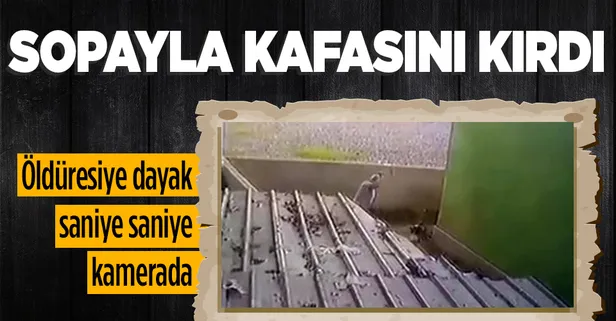 Tavuklarına saldırdığı gerekçesiyle köpeği sopayla öldüresiye dövdü