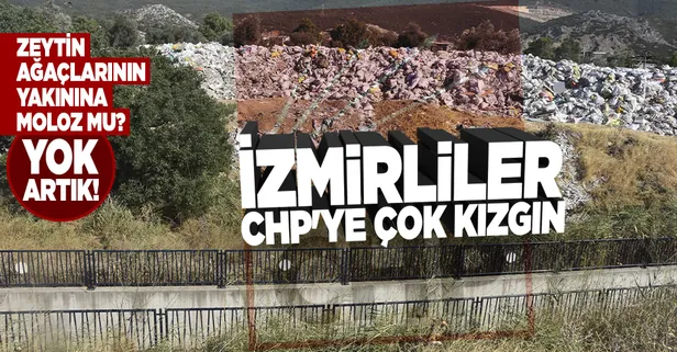 CHP'li Bornova Belediyesi'nin zeytin ağaçları yakınına moloz dökmesine İzmirliler tepki gösterdi