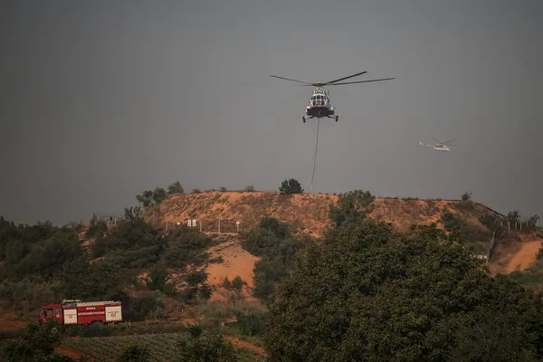 Bilecik'te çıkan ve Bursa'ya sıçrayan orman yangını kontrol altına alındı-4